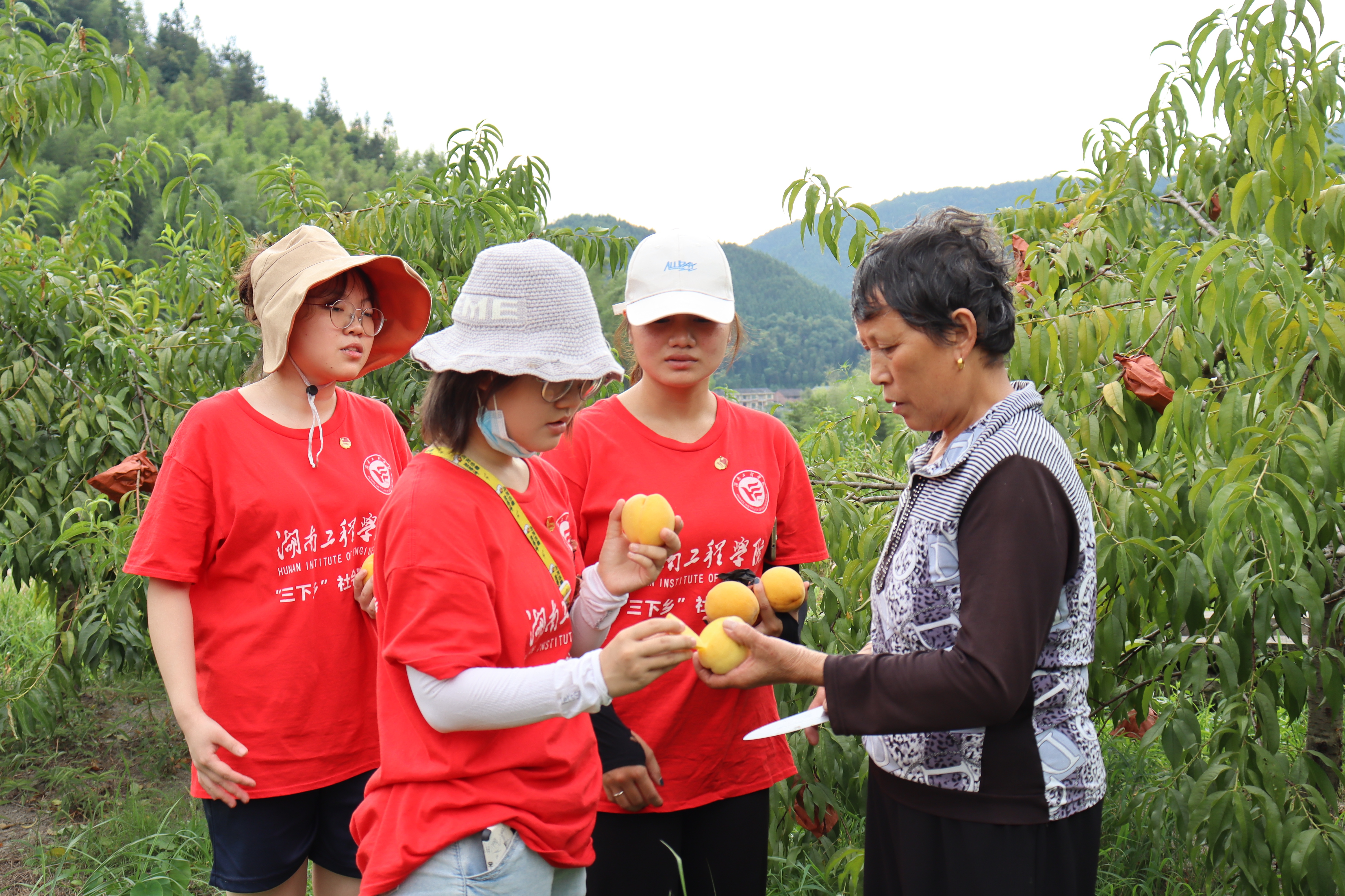 pg电子中国官方网站pg电子中国官方网站：情系畲族村 逐梦新征程